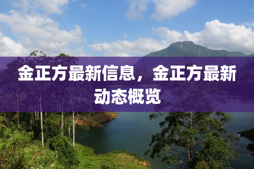 金正方最新信息,金正方最新动态概览中山市多米克自动化设备有限公司