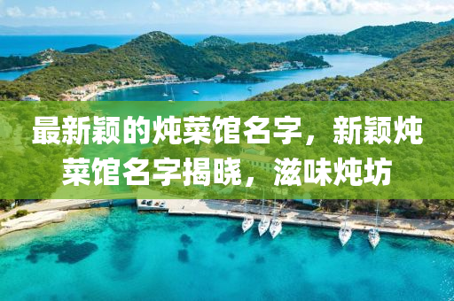 最新颖的炖菜馆名字,新颖炖菜馆名字揭晓,滋味炖坊中山市多米克自动化设备有限公司