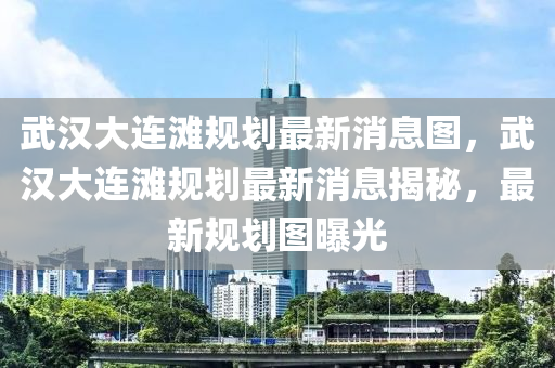 武汉大中山市多米克自动化设备有限公司连滩规划最新消息图,武汉大连滩规划最新消息揭秘,最新规划图曝光