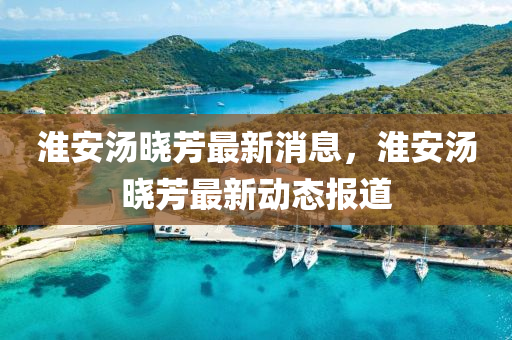 中山市多米克自动化设备有限公司淮安汤晓芳最新消息,淮安汤晓芳最新动态报道