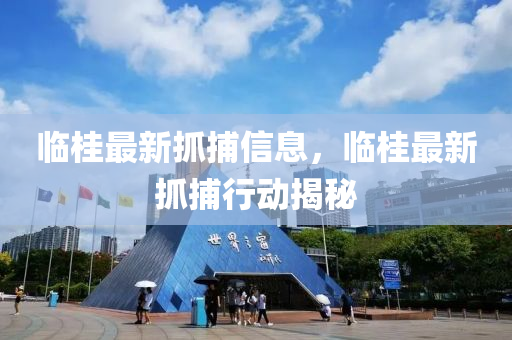临桂最新抓捕信息,临桂最新抓捕行动揭秘中山市多米克自动化设备有限公司