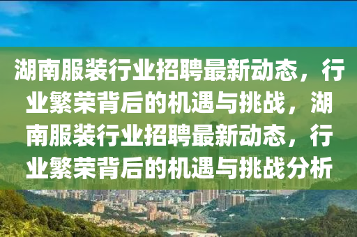 湖南服装行业招聘最新动态,行业繁荣背后的机遇与挑战,湖南服装行业招聘最新动态,行业繁荣背后的机遇与挑战分析中山市多米克自动化设备有限公司