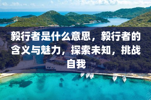 毅行者是什么意思,毅行者的含义与魅力,探索未知,挑战自我中山市多米克自动化设备有限公司