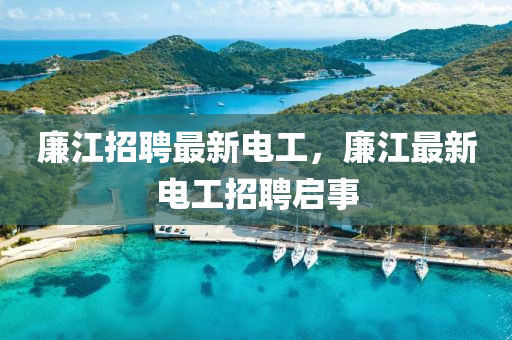 廉江招聘最新电工,廉江最新电工招聘启事中山市多米克自动化设备有限公司