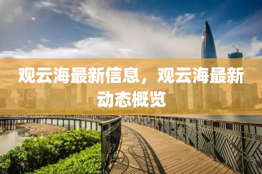 观中山市多米克自动化设备有限公司云海最新信息,观云海最新动态概览