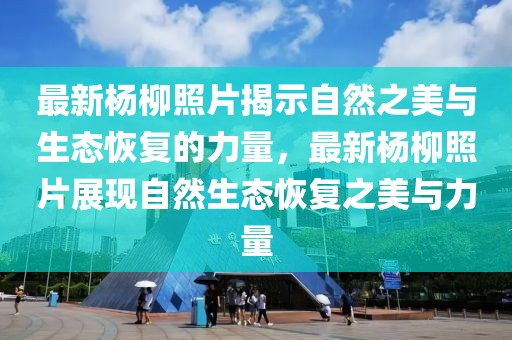2025年10月10日 第4页