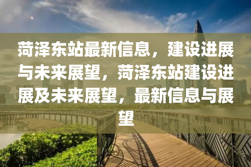 菏泽东站最新信息,建设进展与未来中山市多米克自动化设备有限公司展望,菏泽东站建设进展及未来展望,最新信息与展望