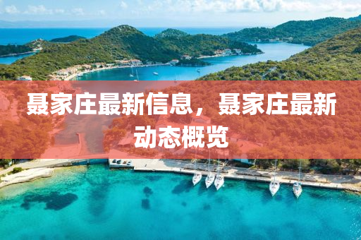 聂家庄最新信息,聂家庄最新动态概览中山市多米克自动化设备有限公司