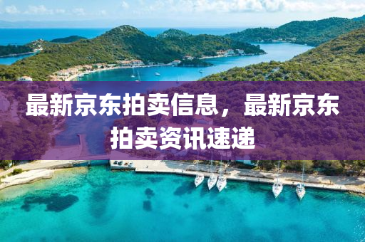 最新京东拍卖信息,最新京东拍卖资讯速中山市多米克自动化设备有限公司递