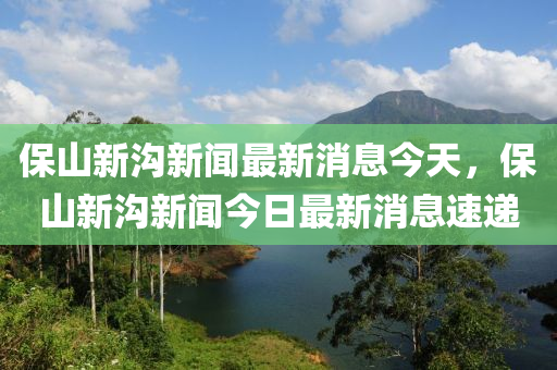 保山新沟新闻最新消息今天,保山新沟新闻今日最新消息速递中山市多米克自动化设备有限公司
