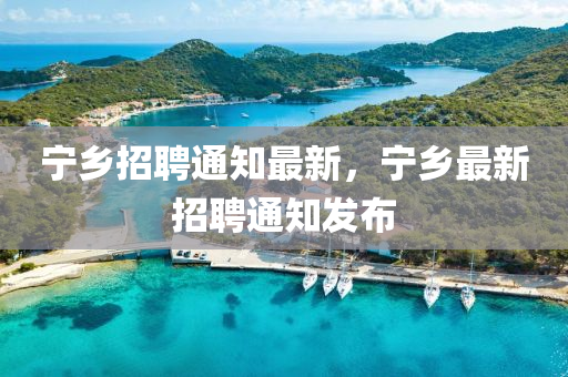 yangxinhong 第3页