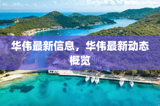 华伟最新信息,华伟最新动态概览中山市多米克自动化设备有限公司