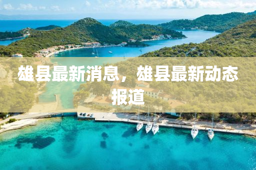 雄县最新消息，雄县最新动态报道中山市多米克自动化设备有限公司