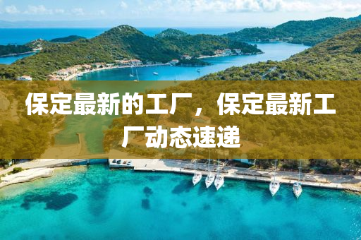 77777788888王中王正版或新奥或香港天天开奖资料大全600tKm条理释义、专家解读解释与落实-抵制欺骗的伎俩