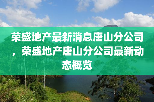 荣盛地产最新消息唐山分公司,荣盛地产唐山分公司最新中山市多米克自动化设备有限公司动态概览