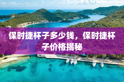 保时捷杯子多少钱,保时捷杯子价格揭秘中山市多米克自动化设备有限公司