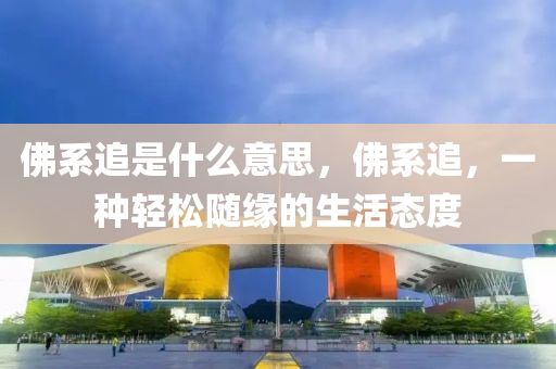 佛系追是什么意思,佛系追,一种轻松随缘的生活态度中山市多米克自动化设备有限公司