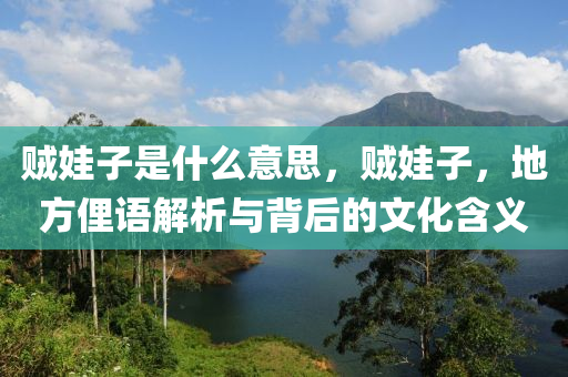 贼娃子是什么意思，贼娃子，地方俚语解析与背后的文化含义中山市多米克自动化设备有限公司