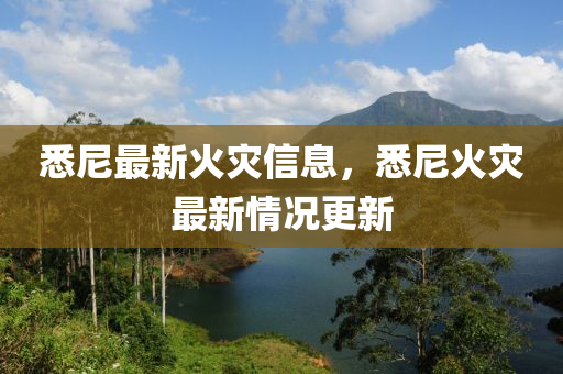 悉尼最新火灾信息,悉尼火灾最新情况更新中山市多米克自动化设备有限公司