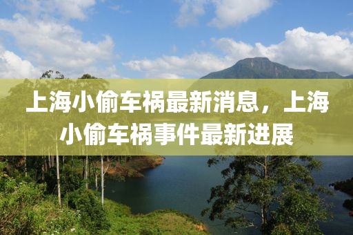 上海小偷车祸最新消息,上海小偷车祸事件最新进展中山市多米克自动化设备有限公司