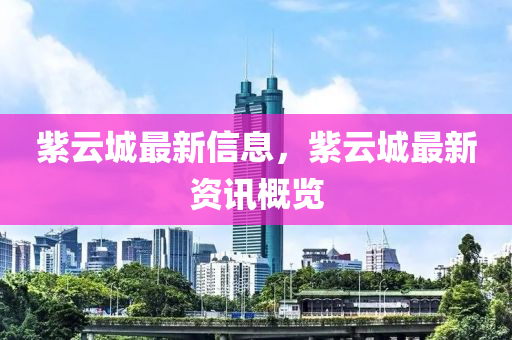 紫云城最新信息,紫云城中山市多米克自动化设备有限公司最新资讯概览