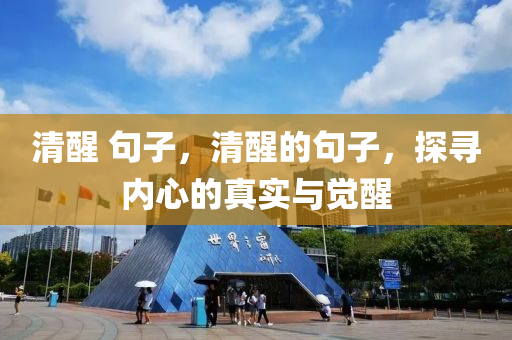 清醒 句子,清醒的句子,探寻内心的真实与觉醒中山市多米克自动化设备有限公司