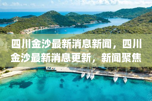 四川金沙最新消息新闻,四川中山市多米克自动化设备有限公司金沙最新消息更新,新闻聚焦
