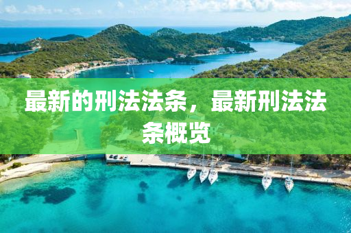 最新的刑法法条,最新刑法法条概览