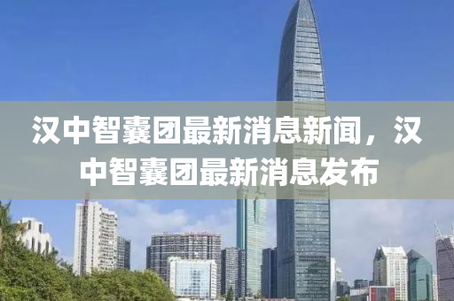 汉中智囊团最新消息新闻,汉中智囊团最新消息发布