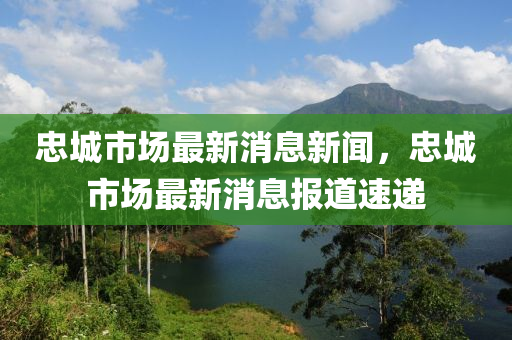 忠城市场最新消息新闻,忠城市场最新消息报道速递