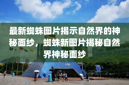 最新蜘蛛图片揭示自然界的神秘面纱,蜘蛛新图片揭秘自然界神秘面纱