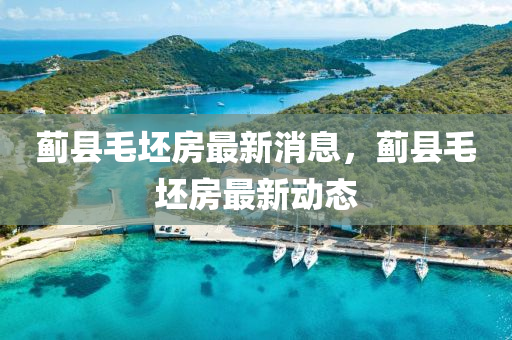 天天彩澳门天天彩今晚 第30页