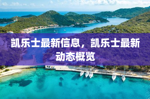 个人简历 第29页