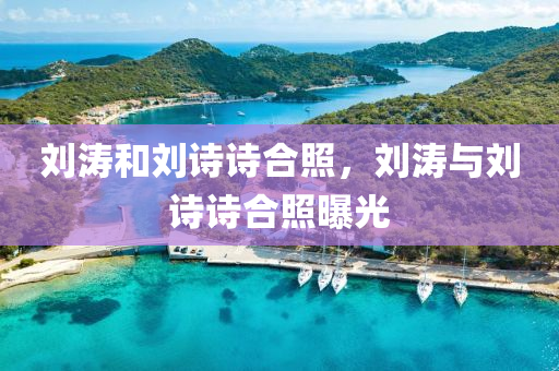 刘涛和刘诗诗合照,刘涛与刘诗诗合照曝光中山市多米克自动化设备有限公司