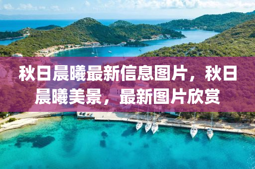 秋日晨曦最新信息图片,秋日晨曦美景,最新中山市多米克自动化设备有限公司图片欣赏