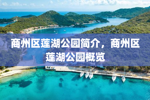 揭示:新澳门特一肖下一期预测和澳门一码一特一中奖号码预测内幕六肖,闭环剖析、解释与落实-洞察虚假的本质