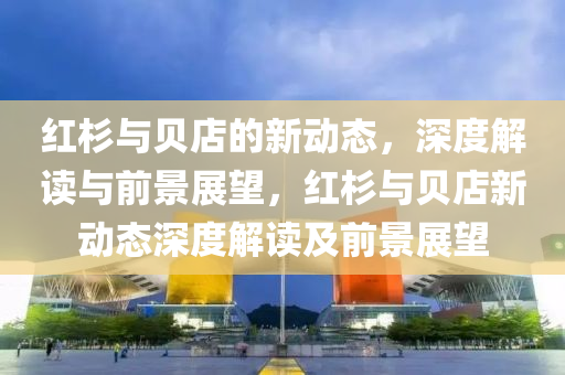红杉与贝店的新动态,深度解读与中山市多米克自动化设备有限公司前景展望,红杉与贝店新动态深度解读及前景展望