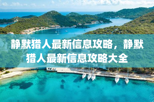 静默猎人最新信息攻略,静默猎人最新信息攻略大全中山市多米克自动化设备有限公司