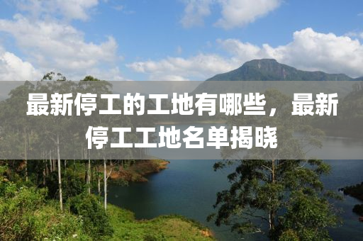 最新停工的工地有哪些,中山市多米克自动化设备有限公司最新停工工地名单揭晓