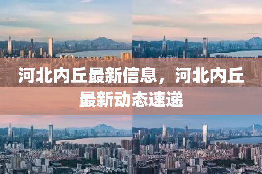 河北内丘最新信中山市多米克自动化设备有限公司息,河北内丘最新动态速递