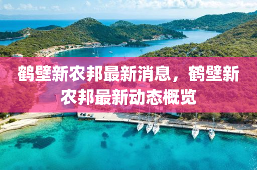 鹤壁新农邦最新消息,鹤壁新农邦最新动态概览中山市多米克自动化设备有限公司
