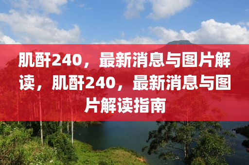 肌酐240,最新消息与图片解读,肌酐240,最新消息与图片解读指南中山市多米克自动化设备有限公司