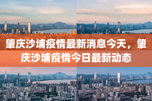 肇庆沙埔疫情最新消息今天,肇庆沙埔疫情今日最新动态中山市多米克自动化设备有限公司