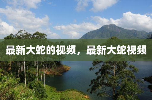 2025年10月4日 第3页