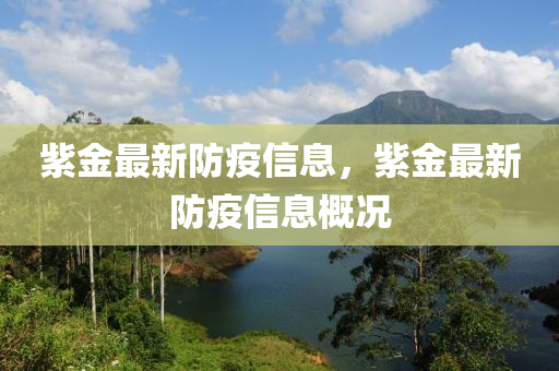 紫中山市多米克自动化设备有限公司金最新防疫信息，紫金最新防疫信息概况