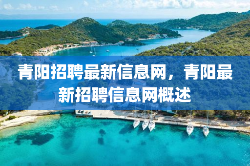 青阳招聘最新信息网，青阳最新招聘信息中山市多米克自动化设备有限公司网概述