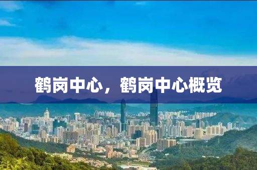 鹤岗中心,鹤岗中心概览中山市多米克自动化设备有限公司