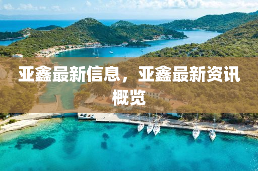 亚鑫最新信息,亚鑫最新资讯概览中山市多米克自动化设备有限公司